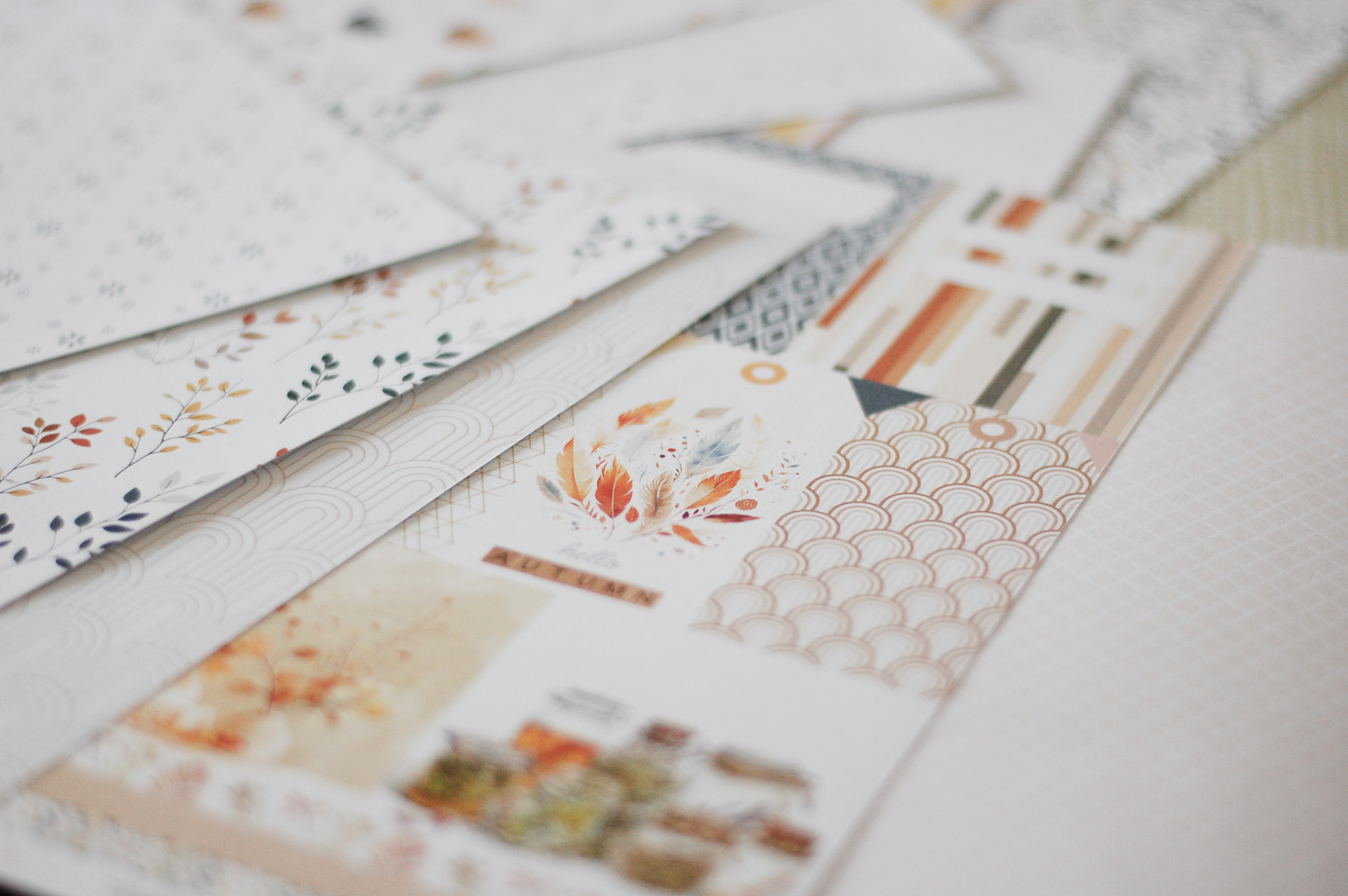 TALLER MINIÁLBUM  OTOÑAL