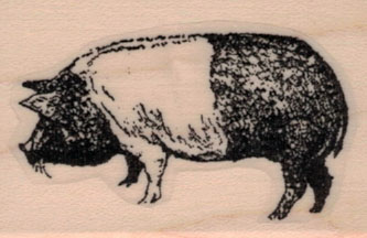 Essex Pig 1 1/4 x 1 3/4