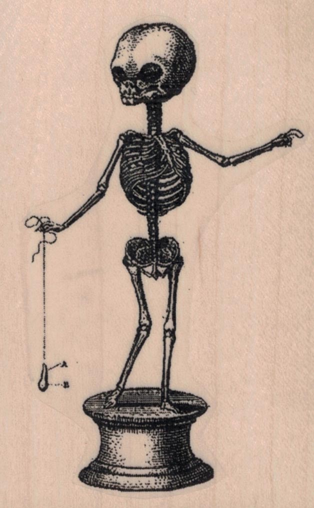 Creepy Skeleton Specimen 2 1/4 x 3 1/2