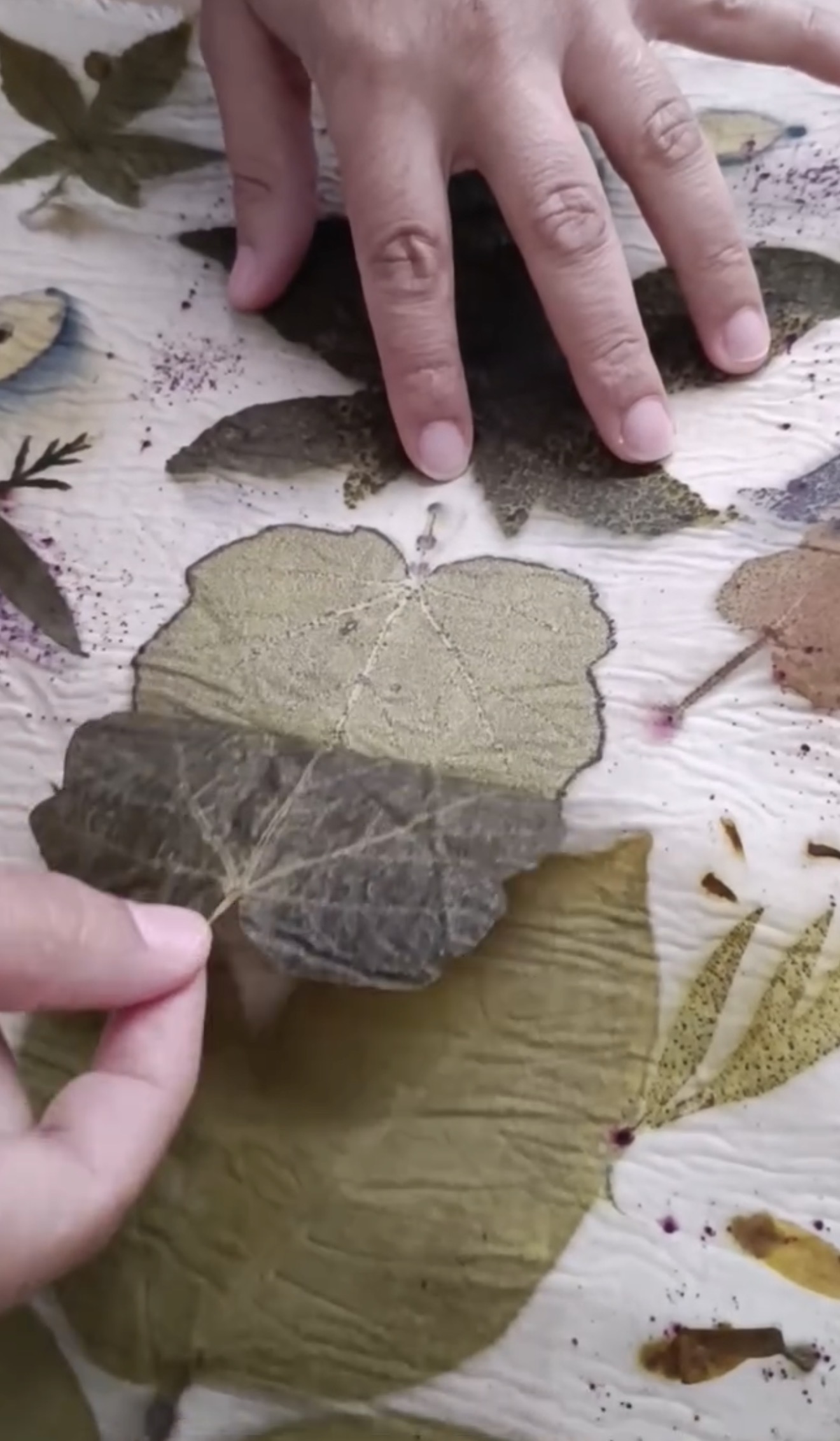 TALLER ESTAMPACIÓN BOTÁNICA CON ARTE RAIZ