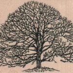 Bare Tree Large 4 1/4 x 3