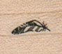 Feather Small 3/4 x 3/4