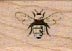 Bee/Small 3/4 x 3/4