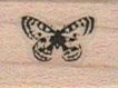 Butterfly 3/4 x 3/4