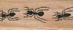 Ant Line Up 3/4 x 1 3/4