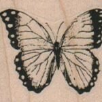 Butterfly/Spotted Wings/Sm 1 1//2 x 1 1/4